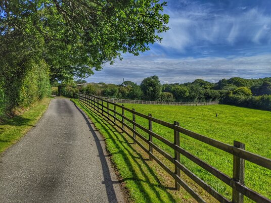 Path to Nangitha Farm