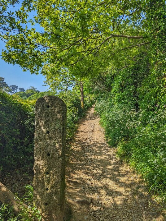 Path through Nansidwell Valley
