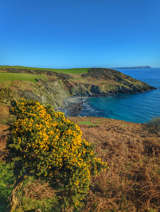 The coast path from Nare Head