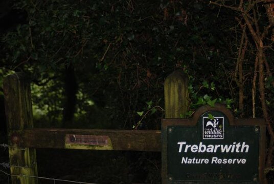Trebarwith Nature Reserve