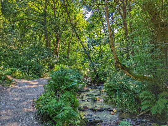 Path through St Nectan's Glen
