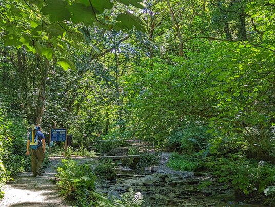 Walker at St Nectan's Glen