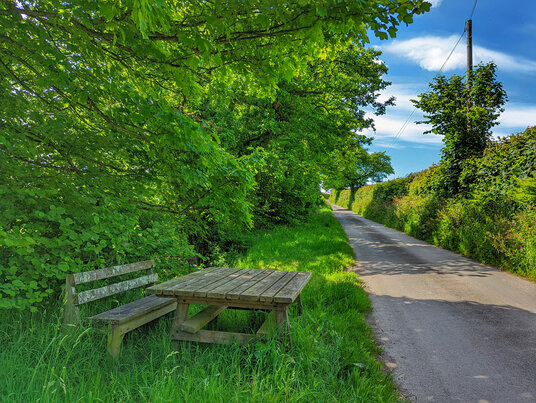 Lane from Newhall Green