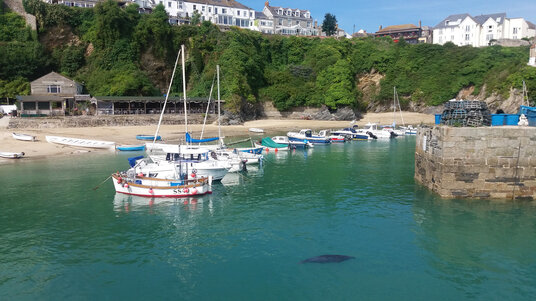 Boats in Newquay Harbour