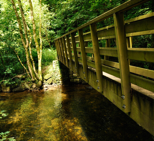 Footbridge over the River Lynher