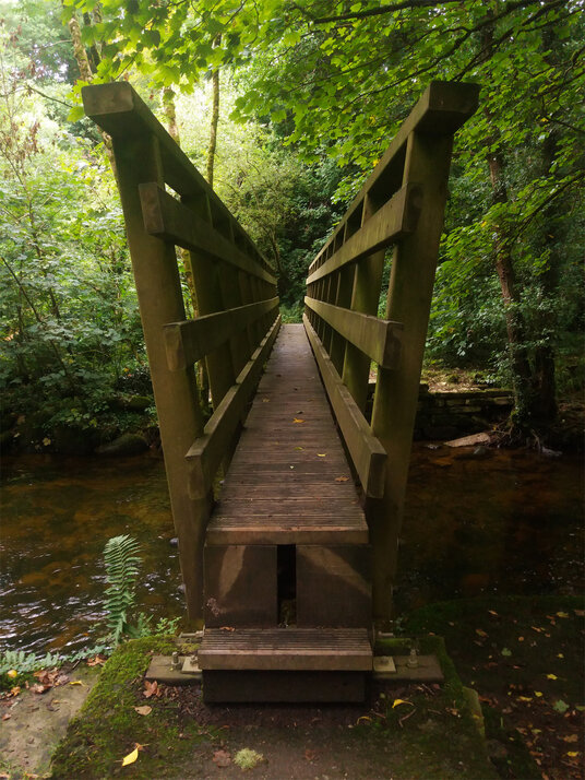 Footbridge over the River Lynher