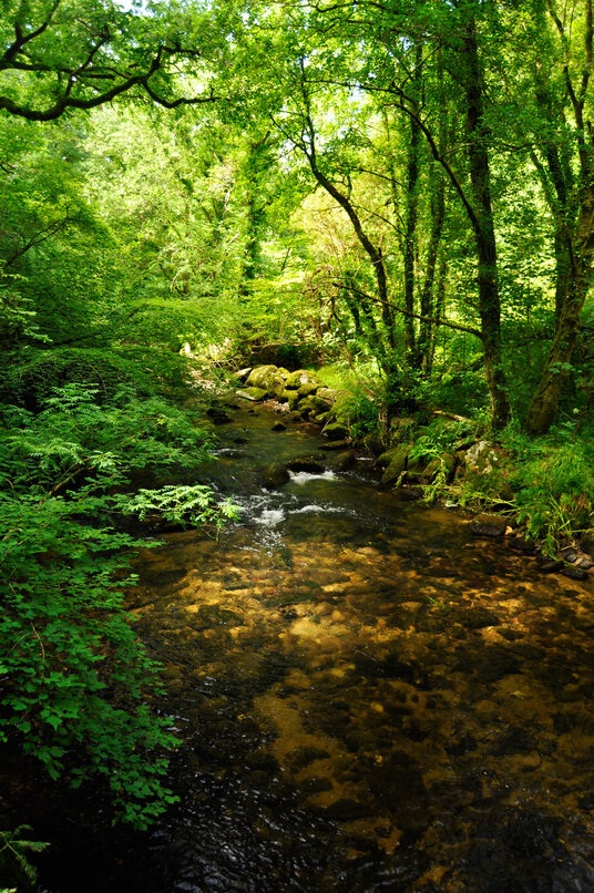View from the footbridge