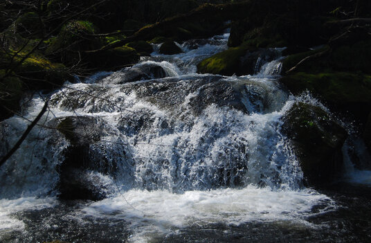 Cascade below the Allabury hillfort