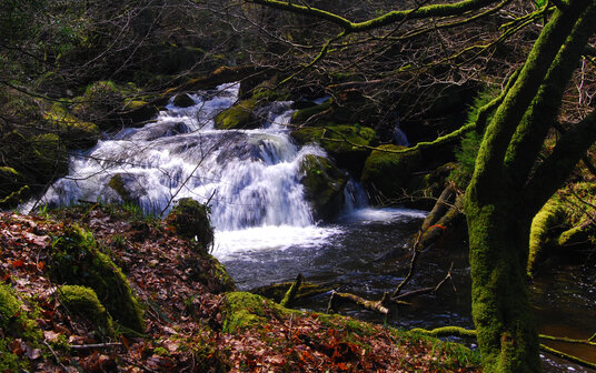 Cascades at the bottom of the valley