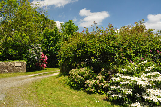 North Petherwin Barton