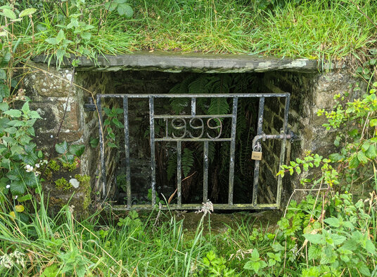North Petherwin Holy Well