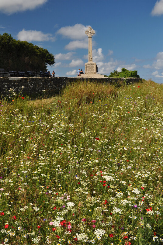 Wildflowers beside the War Memorial