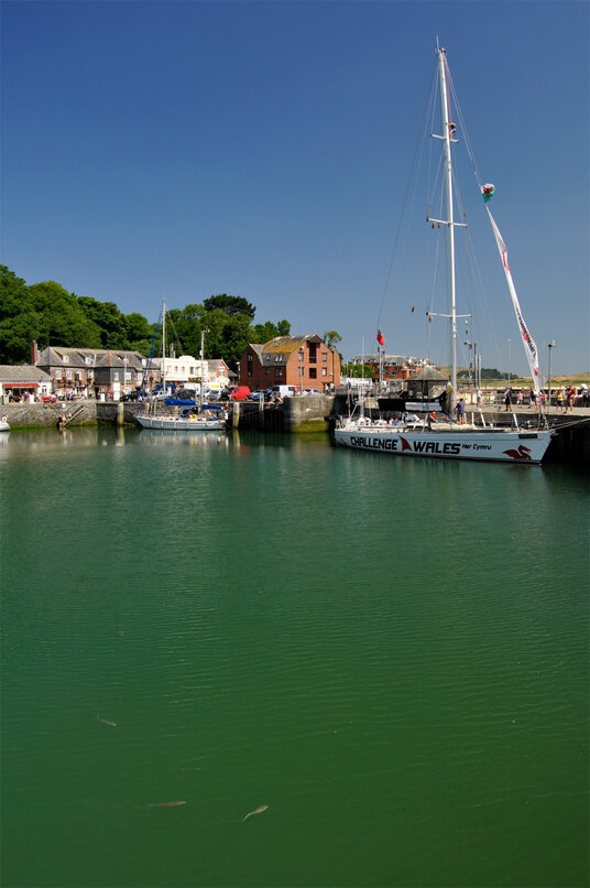 Shoal of mullet in Padstow Harbour
