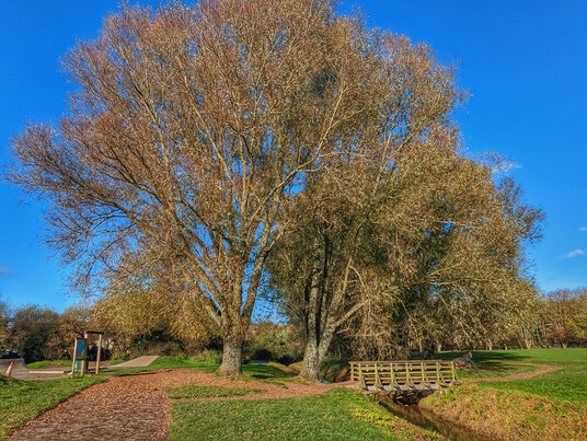 Bridge over the river at Par