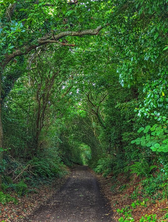 Track near Par church
