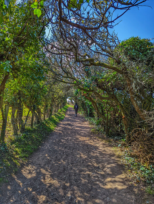Coast path from Par