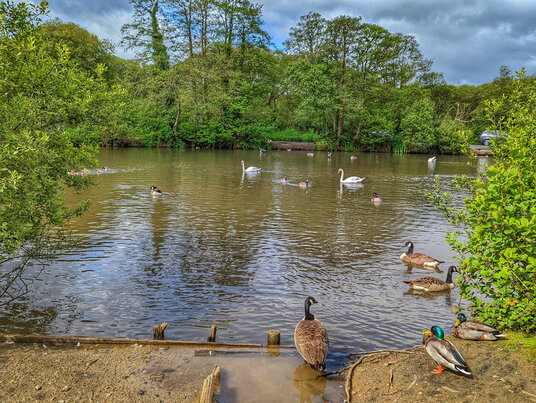 Lake near St Andrew's Bridge