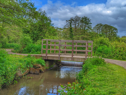 Marshes near St Andrew's Bridge
