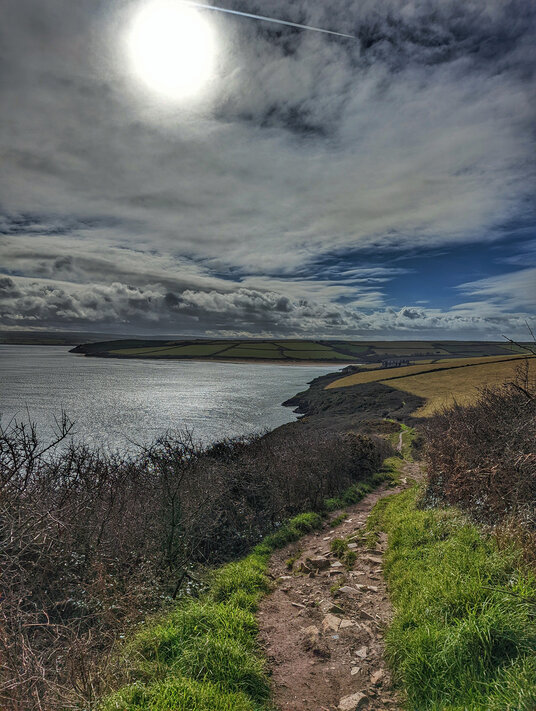 Coast path leading from Harbour Cove