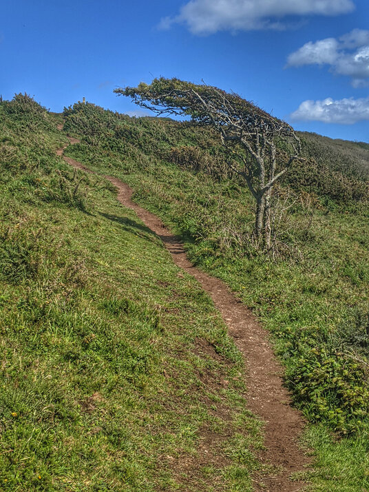 Footpath to Tregantle Fort