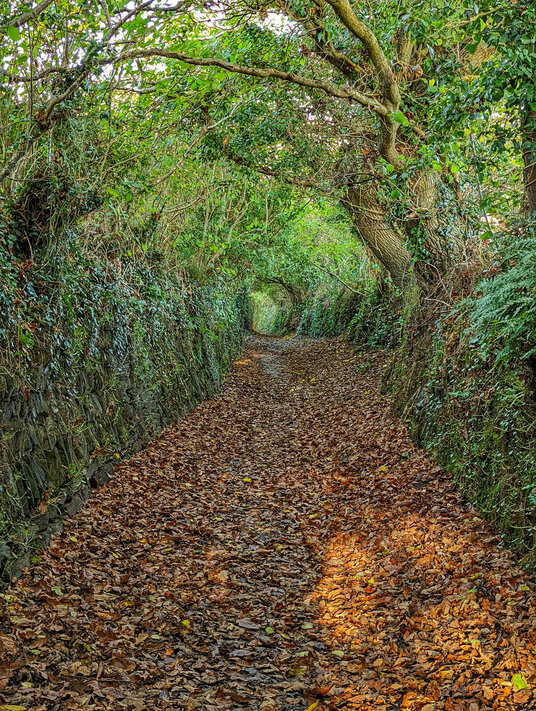 Footpath leading to Tywardreath