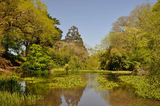 Fletcher's Lake in Pencarrow gardens