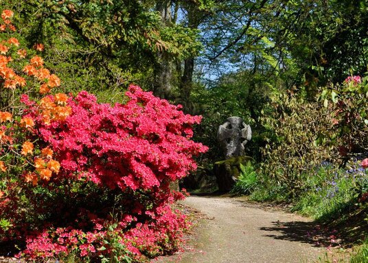 Ancient Celtic cross in Pencarrow gardens