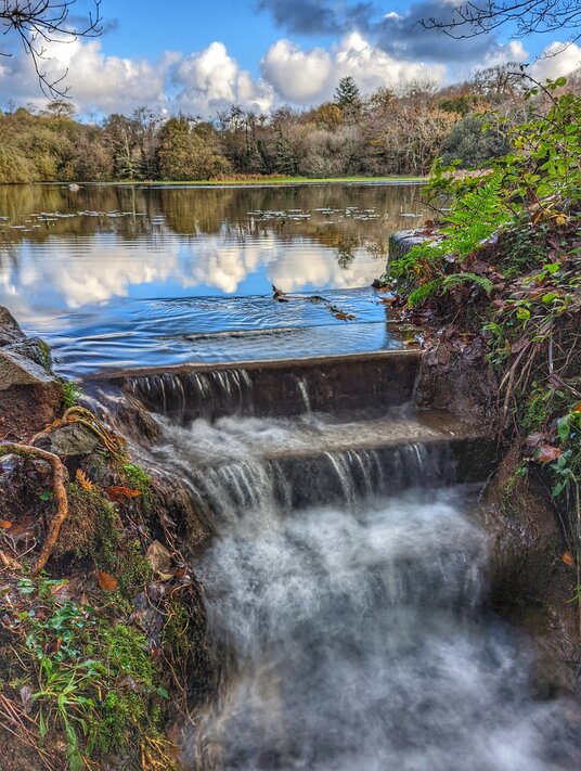 Lake in Pendarves Woods