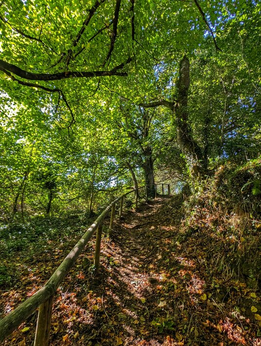 Footpath to Pendower Beach