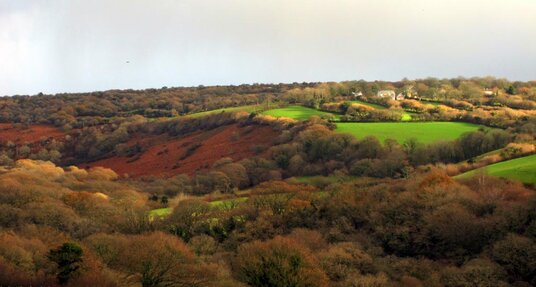 Pendrift Downs in autumn