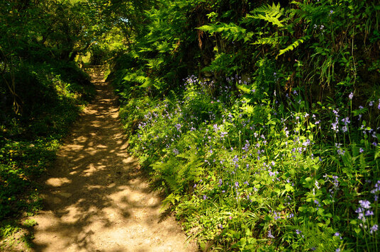 Track to Jubilee Rock