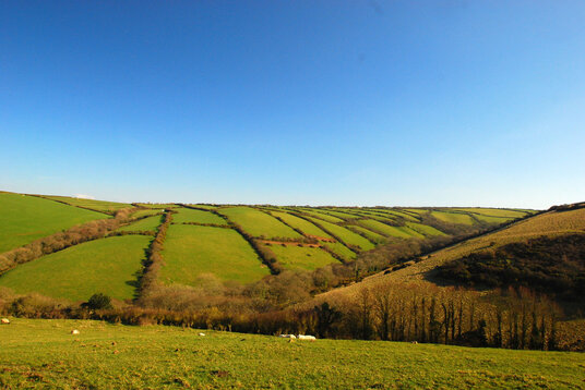 Countryside views near Pengold