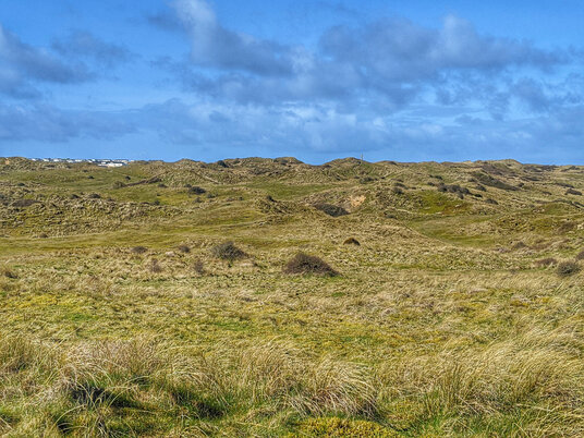 The dunes