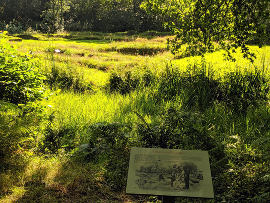 Remains of Penhallam Manor