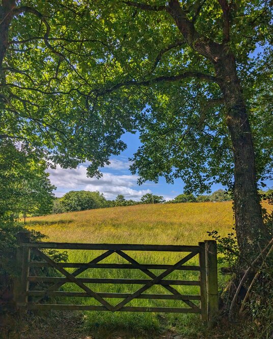 Fields near Penhallam