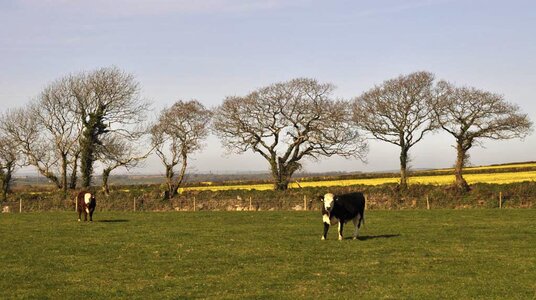Fields near Penhargard