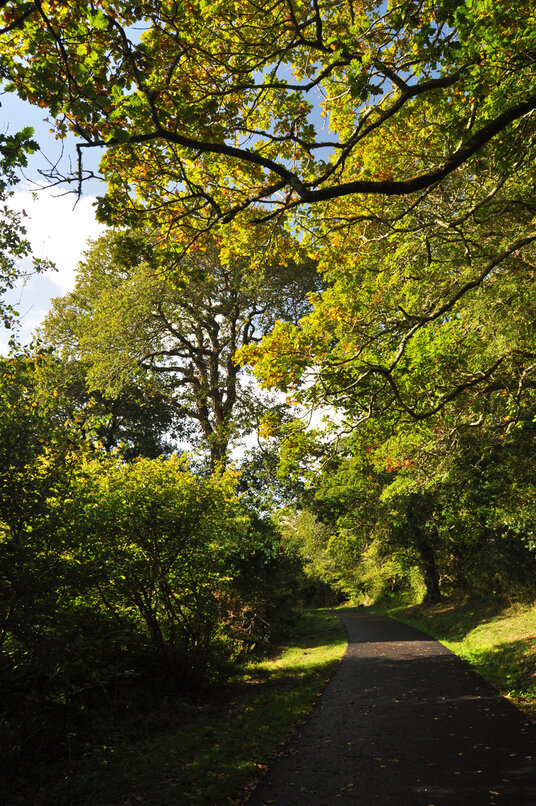 Bridleway from Coronation Park