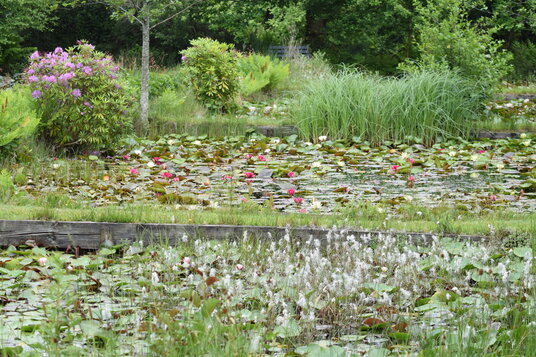 Penrose Water Gardens