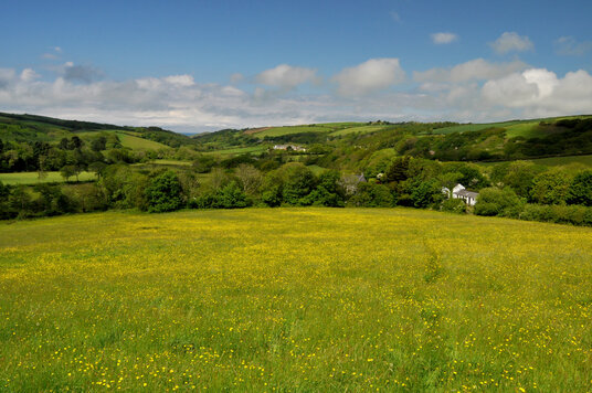 View over the valley from Penstowe Hill