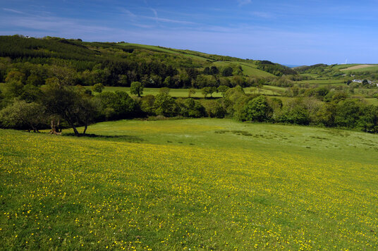 View from Penstowe castle