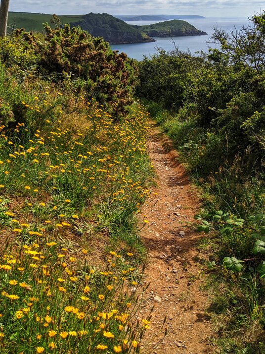 Coast path near Pentewan