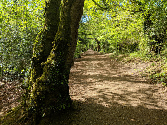 Pentewan Valley Trail