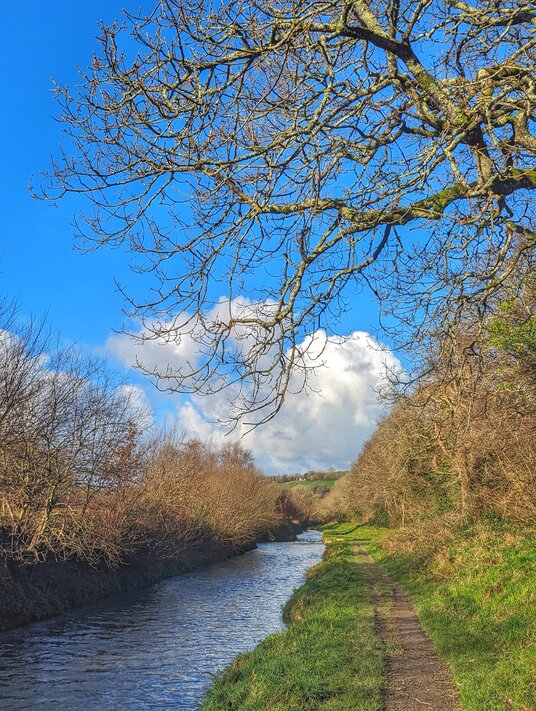 Path along the Pentewan Valley Trail