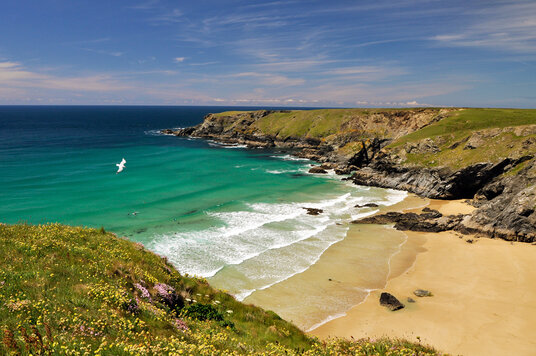 Pentire Steps, just above Bedruthan Steps