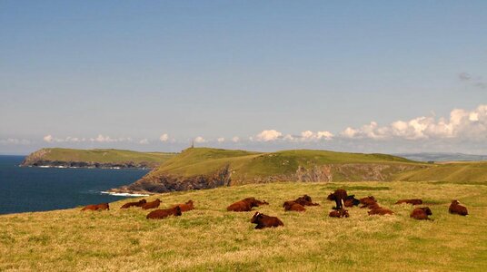 View to Stepper Point