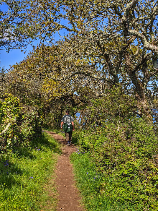 Path along the Percuil river