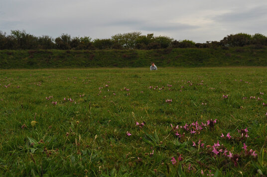 The Devil's Spoon in Perran Round