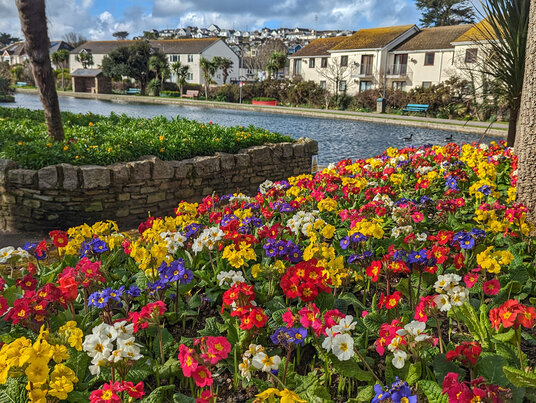 Flowers at the Boating Lake