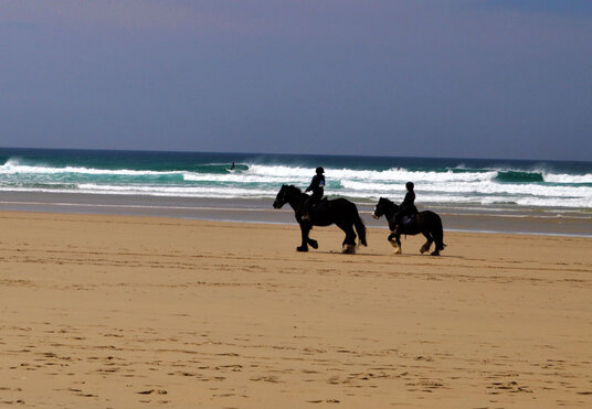 Horses on Perran Beach