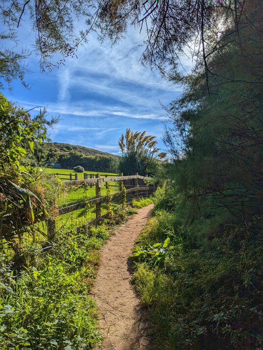 Coast path from Perranuthnoe